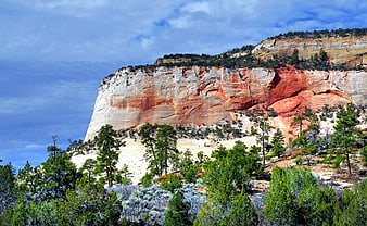Red Rock Canyon Cliff with Pine Trees and Blue Sky
