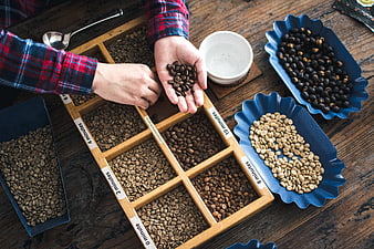 Top view of hands sorting roasted coffee beans on wooden tray