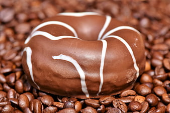 Chocolate glazed donut with white icing on coffee beans