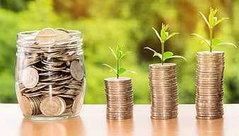 Financial Growth Concept with Coins and Plants