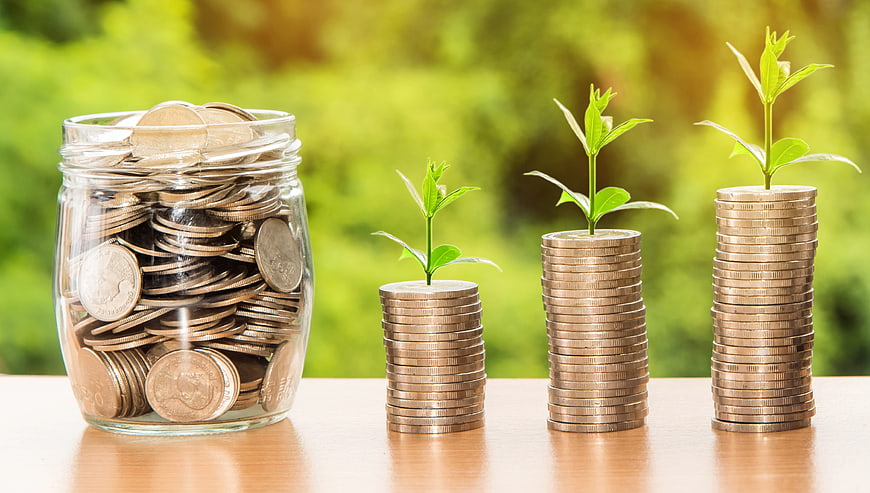 Financial Growth Concept with Coins and Plants