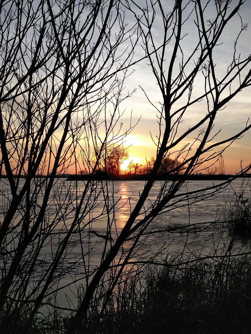 Silhouetted bare branches framing a golden sunset over a river