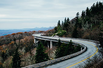 Winding Mountain Highway Bridge in Autumn Forest Landscape