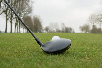 Golf Driver and Ball on Green Grass Course