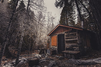 Rustic wooden cabin in a moody winter forest
