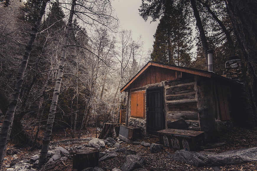 Rustic wooden cabin in a moody winter forest