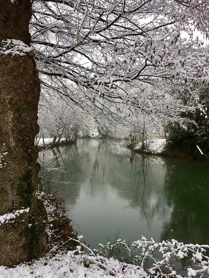 Serene Winter River Landscape with Snow-Covered Trees
