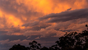 Dramatic Orange Sunset Sky with Dark Clouds and Tree Silhouettes