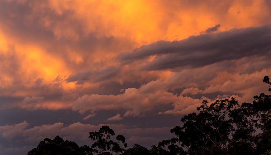 Dramatic Orange Sunset Sky with Dark Clouds and Tree Silhouettes