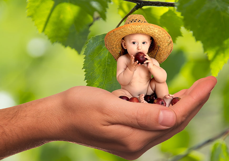 Cute baby in straw hat eating fruit in adult hand