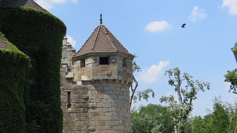 Medieval stone castle tower with ivy and bird in flight