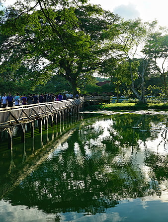 Crowd walking on wooden bridge over lake in Yangon park