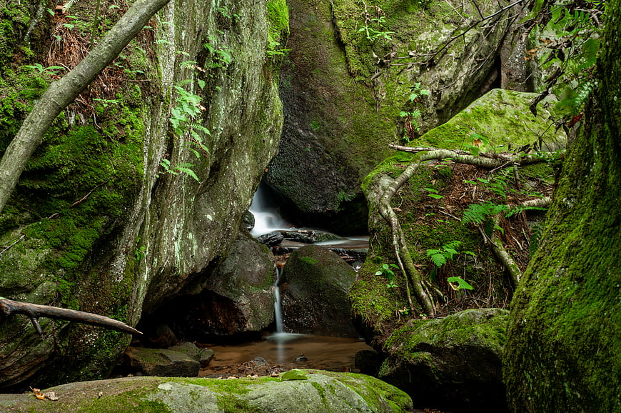 Mossy Rocks and Waterfall in a Lush Forest Stream