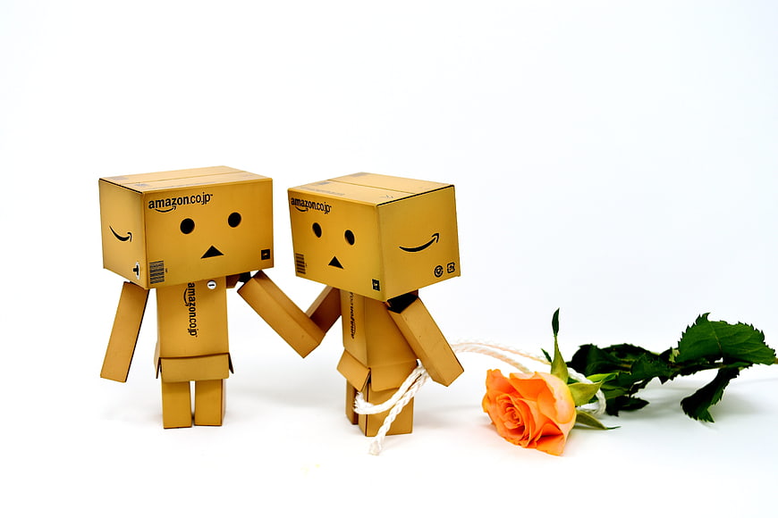 Two cardboard box characters holding hands with a rose