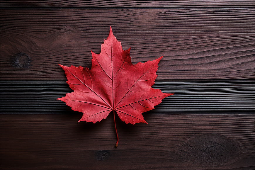 Red Maple Leaf on Dark Wood Background