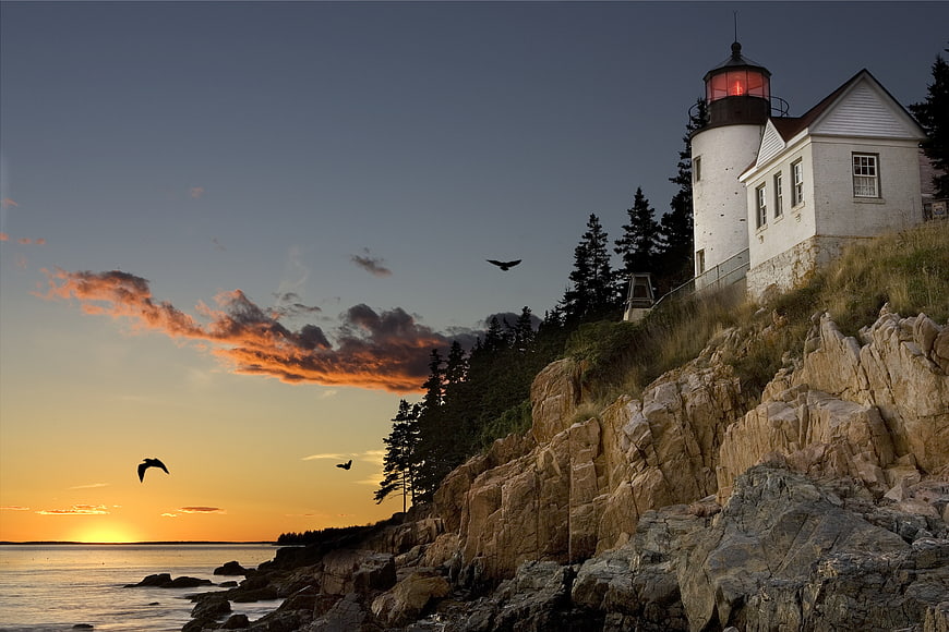 Lighthouse on Rocky Cliff at Sunset with Birds