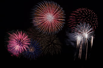 Colorful Fireworks Display in Night Sky