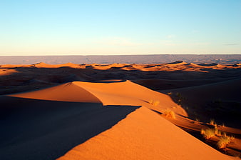 Golden sand dunes in Moroccan desert at sunrise