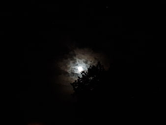Full moon glowing through clouds behind tree silhouette