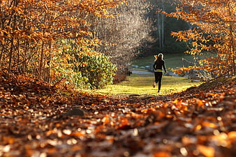 Woman jogging on a forest path surrounded by autumn leaves