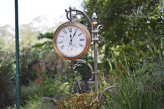 Vintage Garden Clock in Lush Greenery