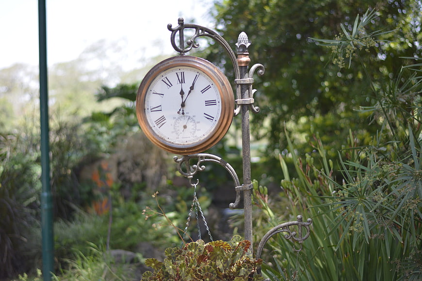 Vintage Garden Clock in Lush Greenery