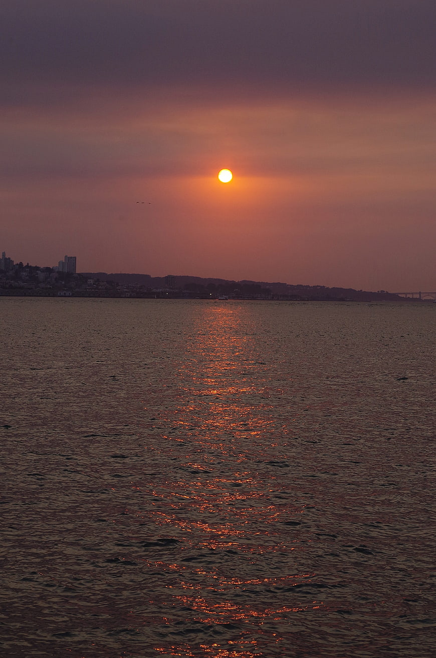 Sunset over ocean with city skyline silhouette and water reflection