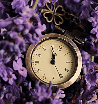 Vintage Watch Surrounded by Purple Lavender Flowers