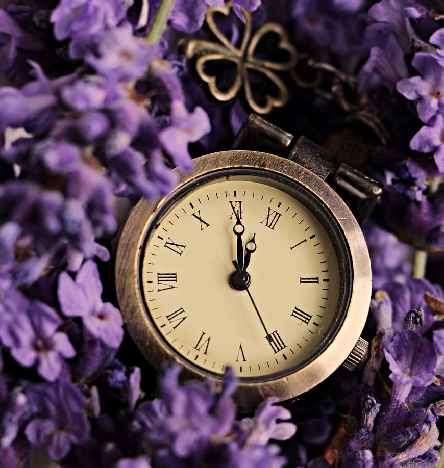 Vintage Watch Surrounded by Purple Lavender Flowers