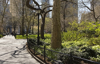 Sunny Park Path with Trees and Metal Fence