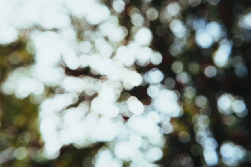 Abstract White and Green Bokeh Background