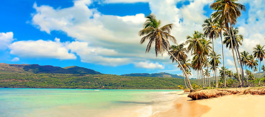 Tropical Beach with Palm Trees and Turquoise Ocean