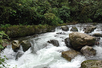 Fast-flowing river with white water rapids and mossy rocks