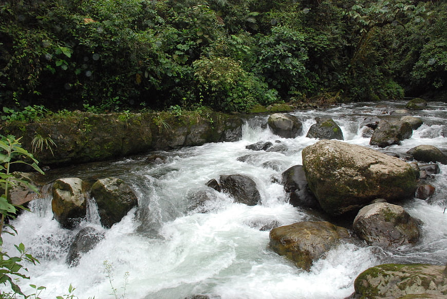 Fast-flowing river with white water rapids and mossy rocks