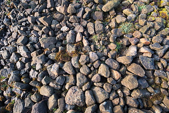 Top-down view of rocky terrain with moss and grass