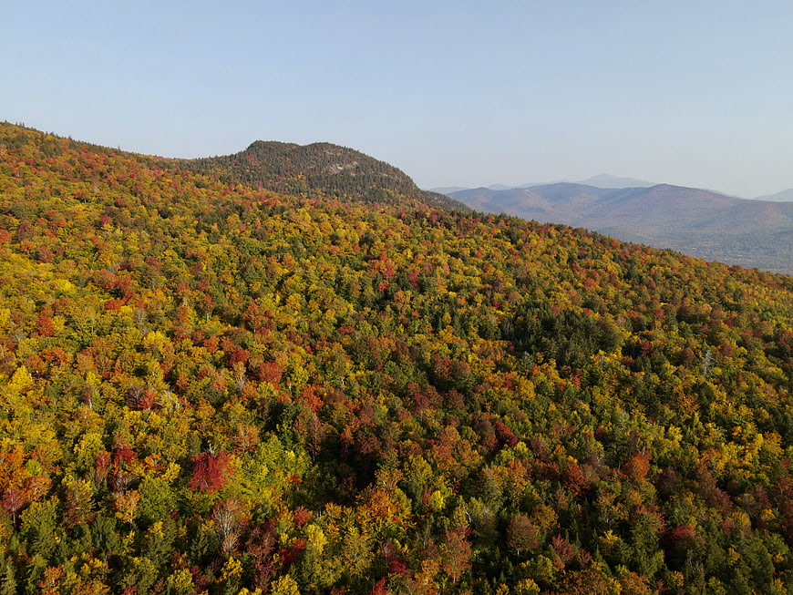 Aerial View of Vibrant Autumn Forest on Mountain Slope