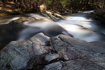 Long Exposure Forest Stream Flowing Over Rocks