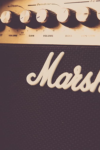 Close-up of Marshall Guitar Amplifier Knobs and Logo