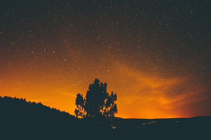 Silhouette of pine tree against starry night sky with orange glow