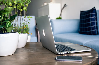 Silver laptop and smartphone on wooden table with plants