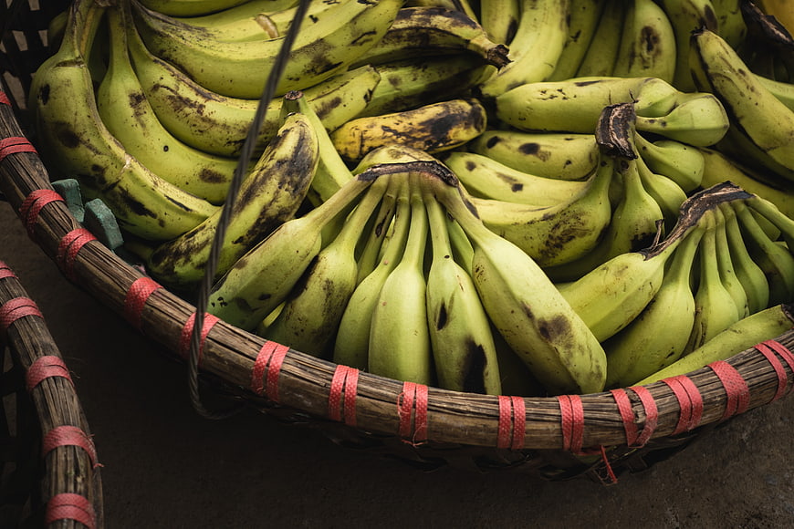Green Bananas in Woven Basket with Red Straps