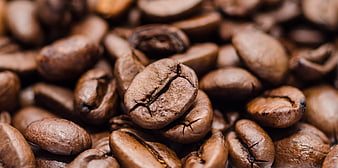 Close-up of roasted coffee beans with shallow depth of field