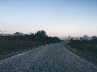 Foggy rural road winding through misty morning landscape