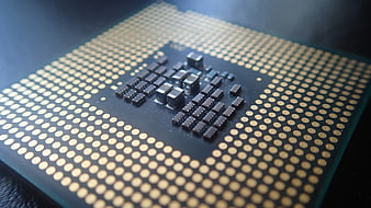 Close-up of computer processor chip with gold pins