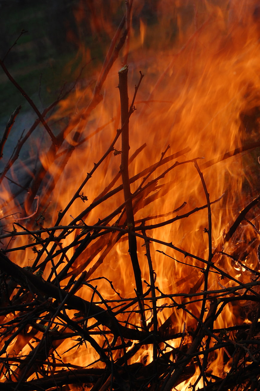 Close-up of burning brush and twigs with intense orange flames