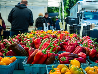 Fresh Colorful Bell Peppers at Farmers Market