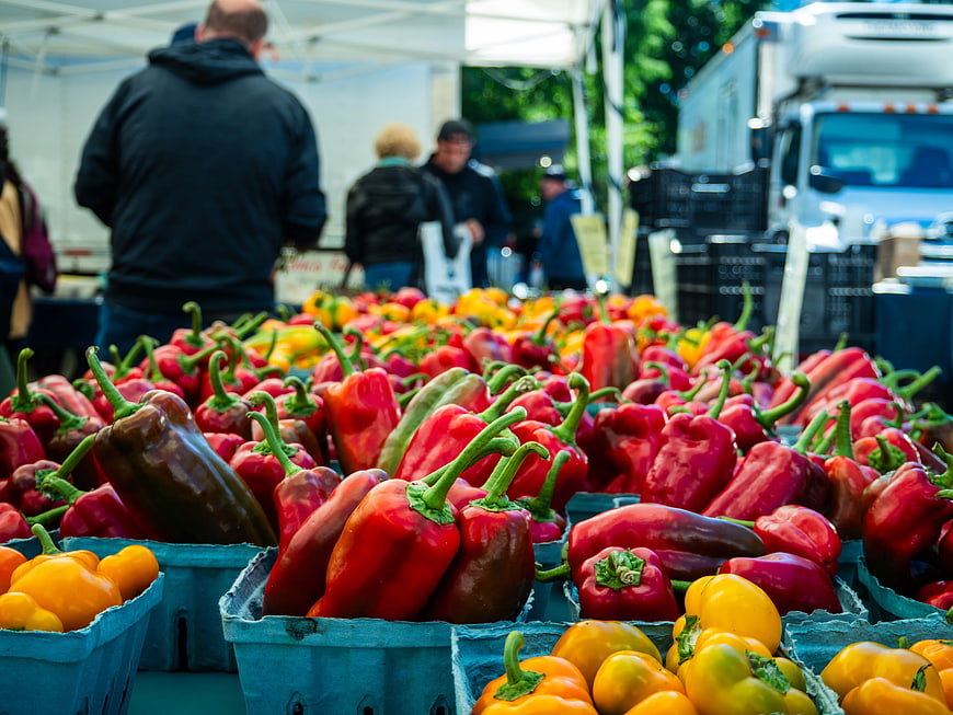 Fresh Colorful Bell Peppers at Farmers Market