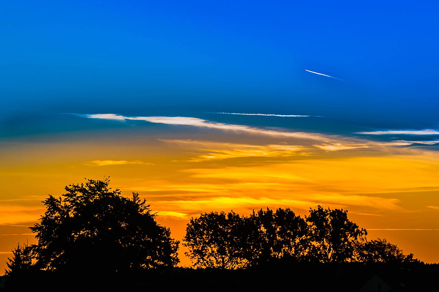 Silhouetted Trees Against Vibrant Sunset Sky with Contrails