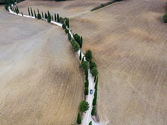 Aerial View of Blue Car Driving on Winding Country Road