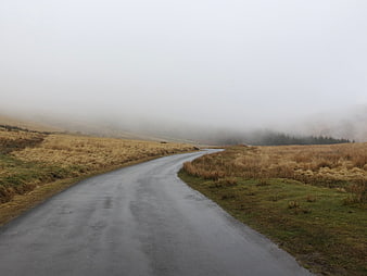 Winding wet road through foggy moorland landscape